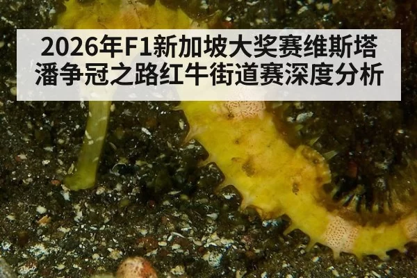 2026年F1新加坡大奖赛维斯塔潘争冠之路红牛街道赛深度分析